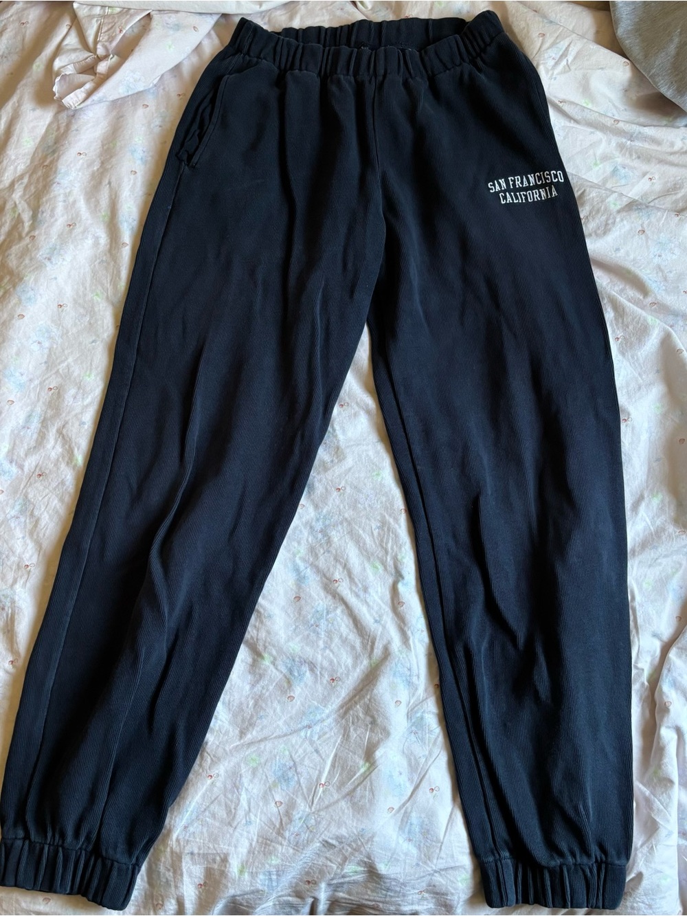 brandy melville sf sweatpants♡